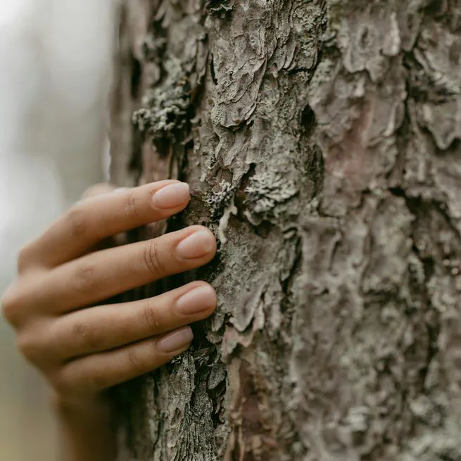Tactile Perception
