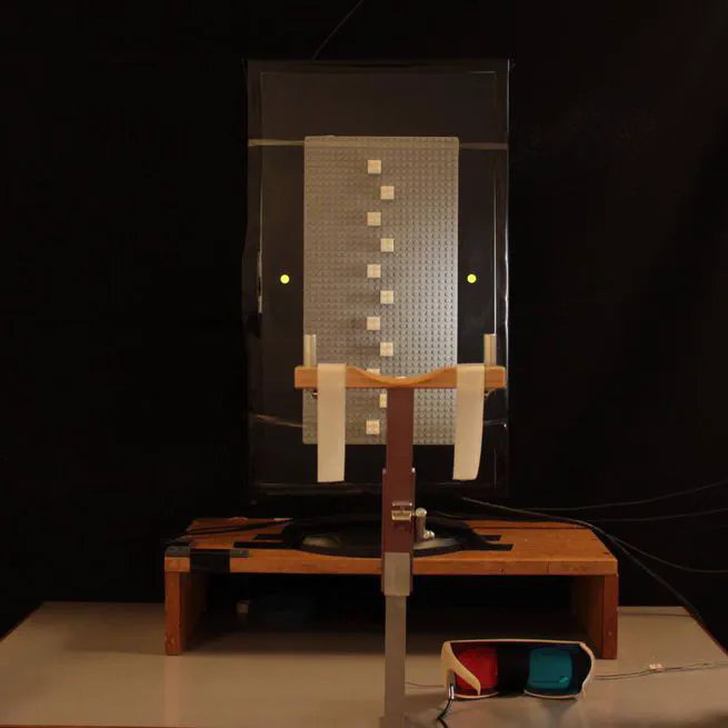 Obstacle avoidance of physical, stereoscopic, and pictorial objects